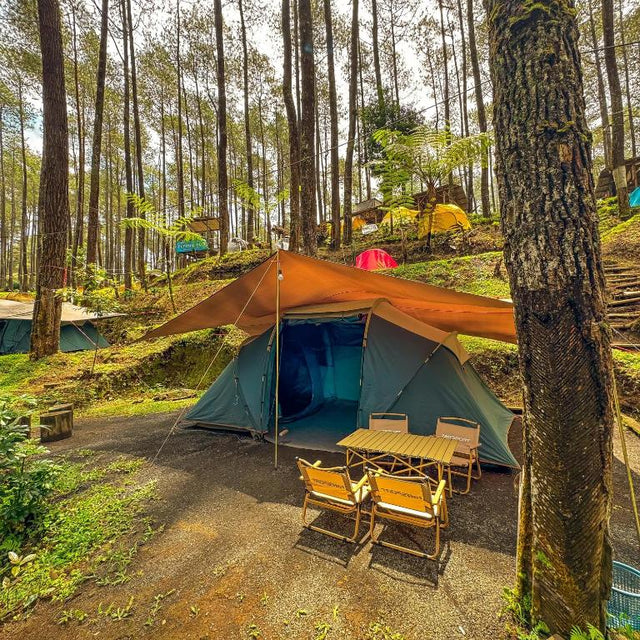CAMP