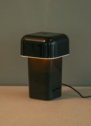 Мини агаар чийгшүүлэгч