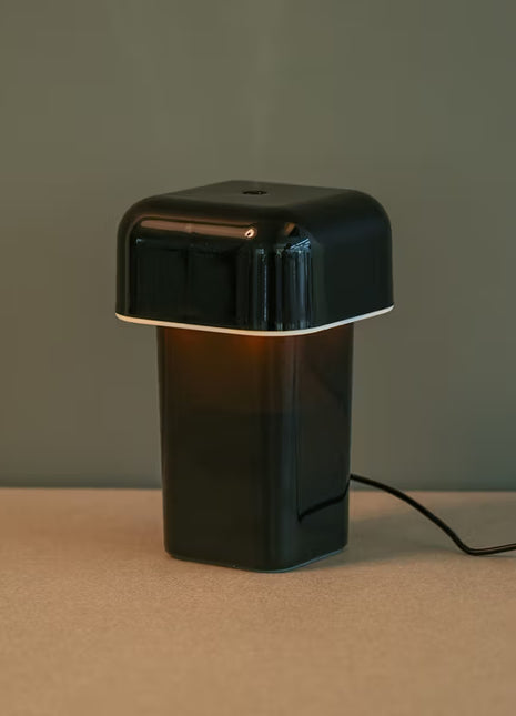 Мини агаар чийгшүүлэгч